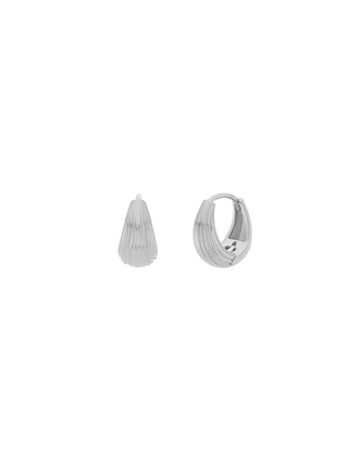 Classic Shell Bold Hoops