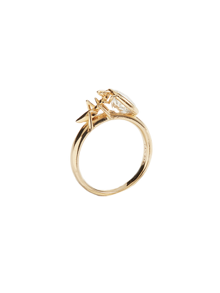 The Ant Rings