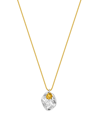 Organic Medallion  Necklace