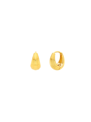 Classic Shell Bold Hoops