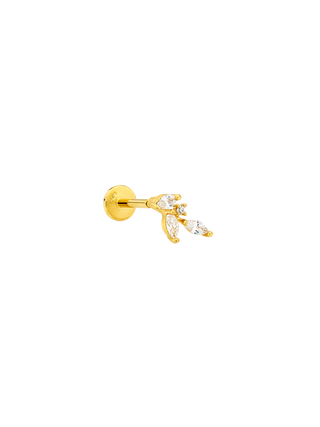 Constellation Piercing