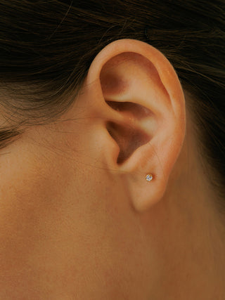 Petit Crystal Accent Studs