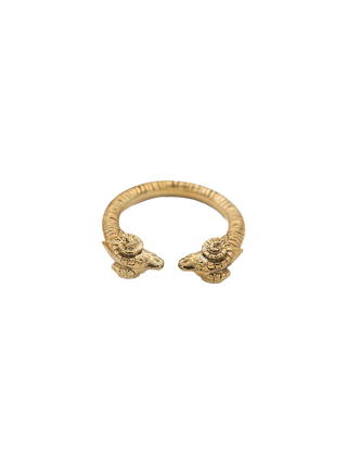 Aya ram ring