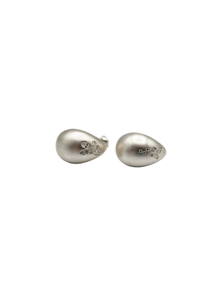 20mm Silver Earrings