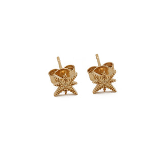 Sacha Moon Star Studs