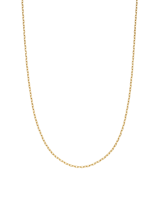 Slim Gold Chain Necklace