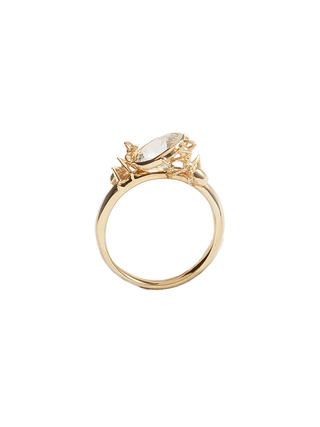 Two Ants Rings