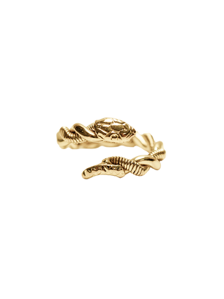 Bass String Snake Ring