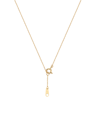 Gold Oval Medallion Necklace