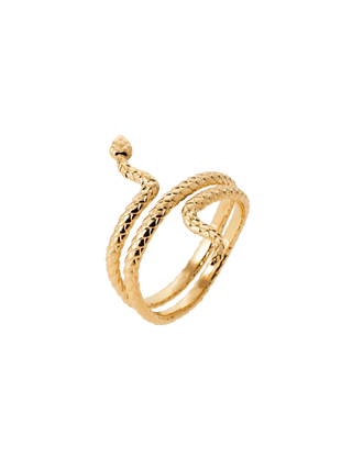 Nevada Ring