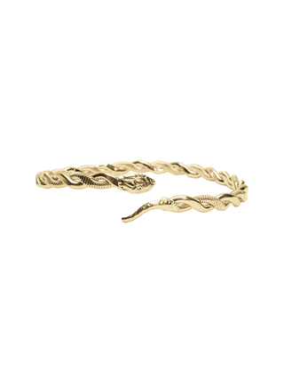 Bass String Snake Bangle
